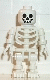 gen001: Skeleton with Standard Skull