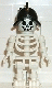 gen011: Skeleton with Standard Skull, Black Conquistador Helmet